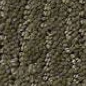 Carpet Sample Browns - Floor Coverings International Frisco