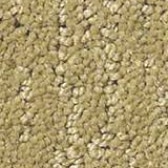Carpet Sample Golds - Floor Coverings International Frisco