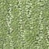 Carpet Sample Greens - Floor Coverings International Frisco