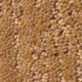 Carpet Sample Oranges - Floor Coverings International Frisco
